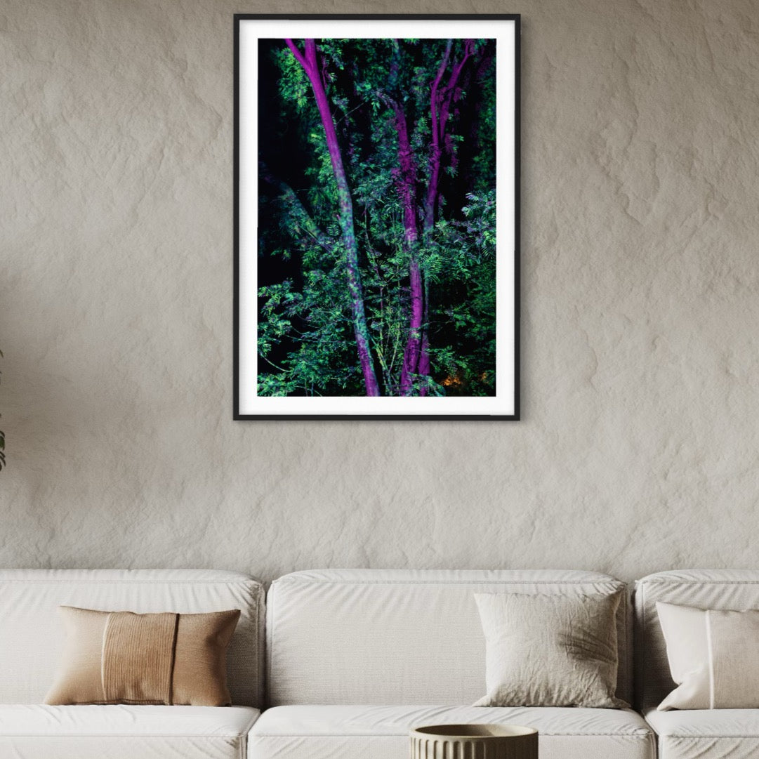 Hidden Places Project India 2017  (signed + Frame)