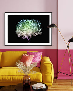 Hidden Places chrysanthemum flowers/ Chrysantheme 2019 (signed + Frame)
