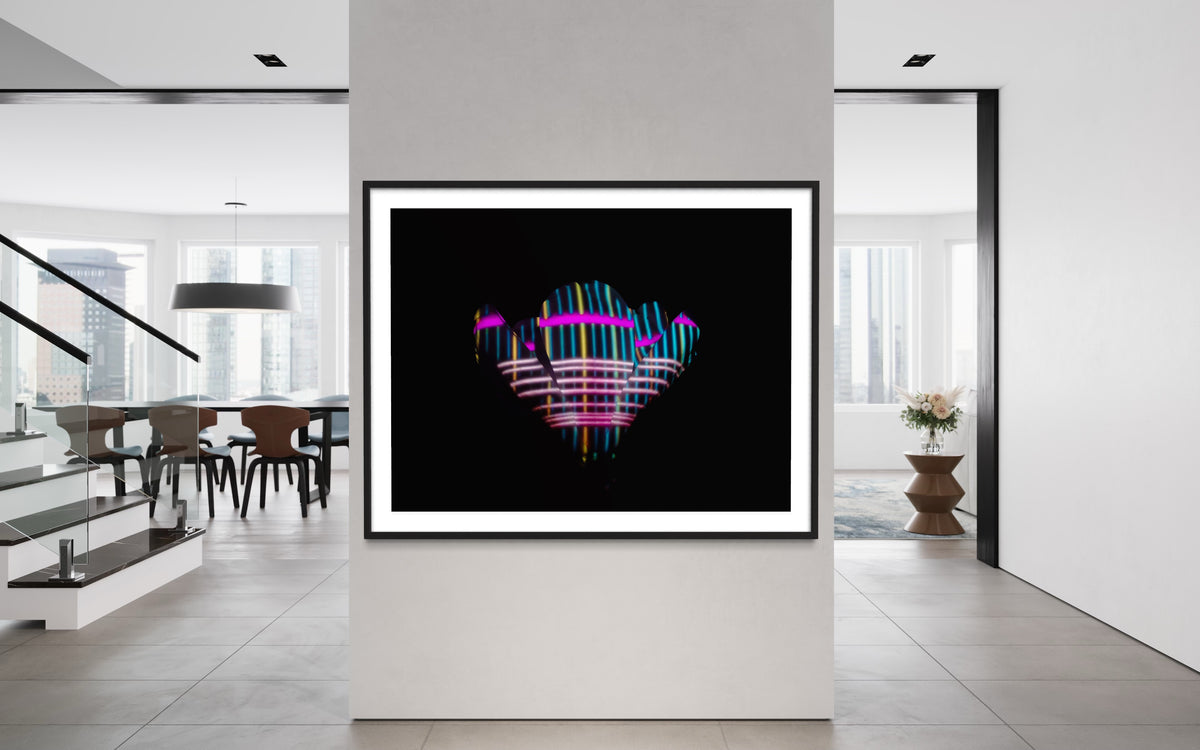 Hidden Places Magnolia Flower 2016  (signed + Frame)