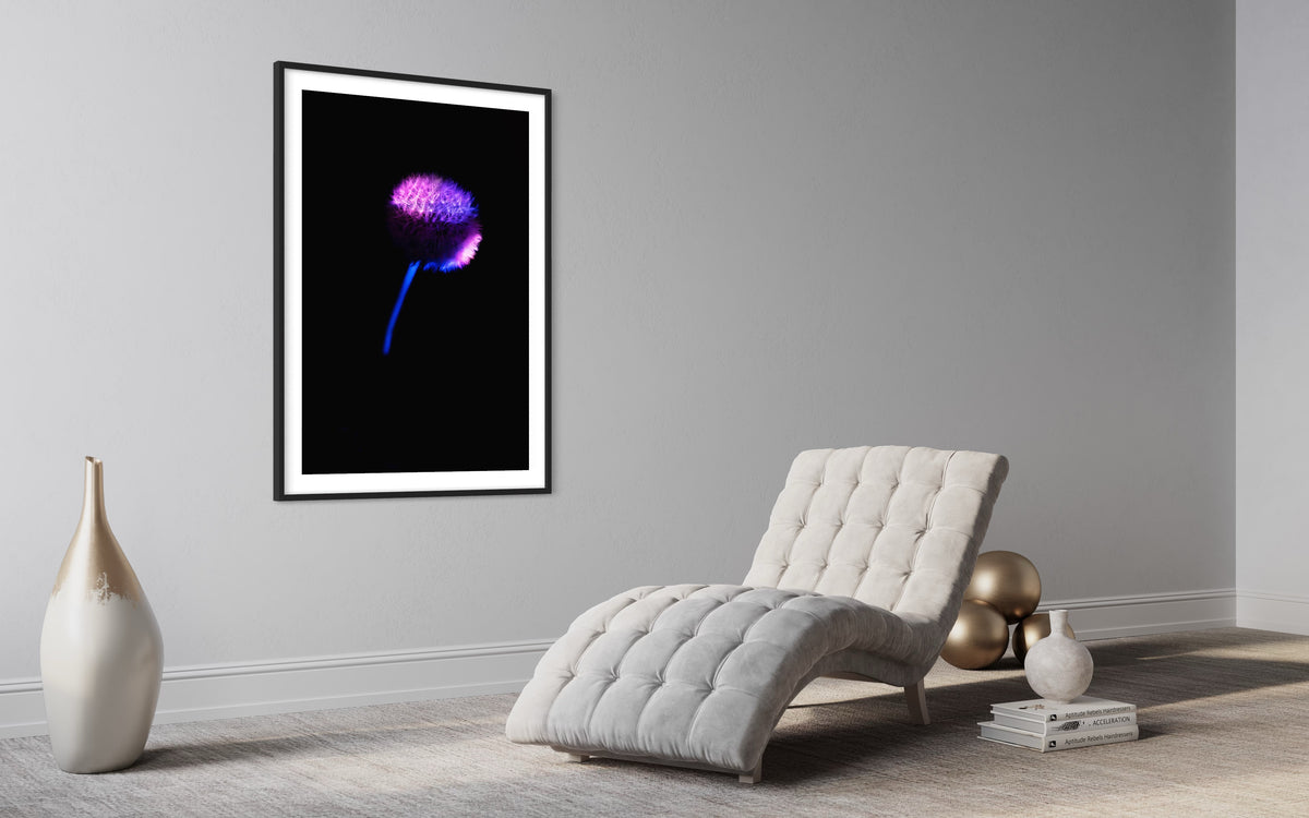 Berlin Hidden Places blowball/ dandelion/  Pusteblume 2020  (signed + Frame)