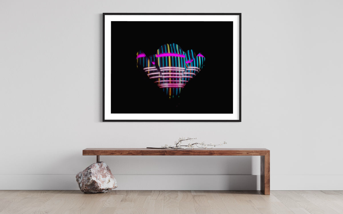 Hidden Places Magnolia Flower 2016  (signed + Frame)