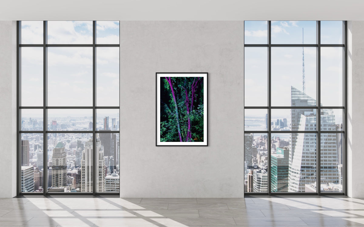 Hidden Places Project India 2017  (signed + Frame)