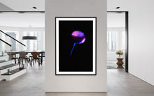 Load image into Gallery viewer, Berlin Hidden Places blowball/ dandelion/  Pusteblume 2020  (signed + Frame)

