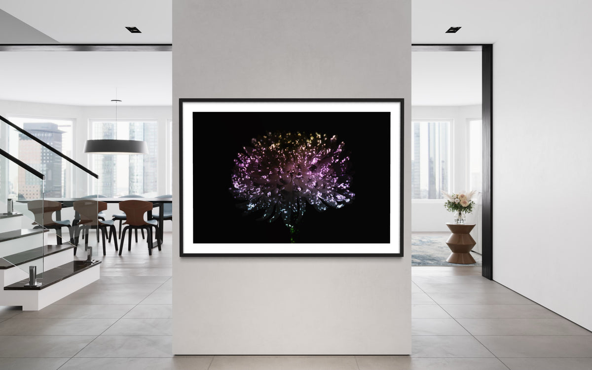Hidden Places chrysanthemum flowers/ Chrysantheme 2019 (signed + Frame)