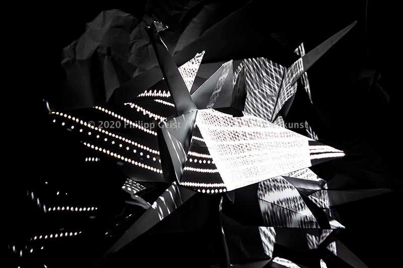 Barcelona Art Space EL ESCAPARATE BIRDS A_LIGHTING 2009 (signed + framed)