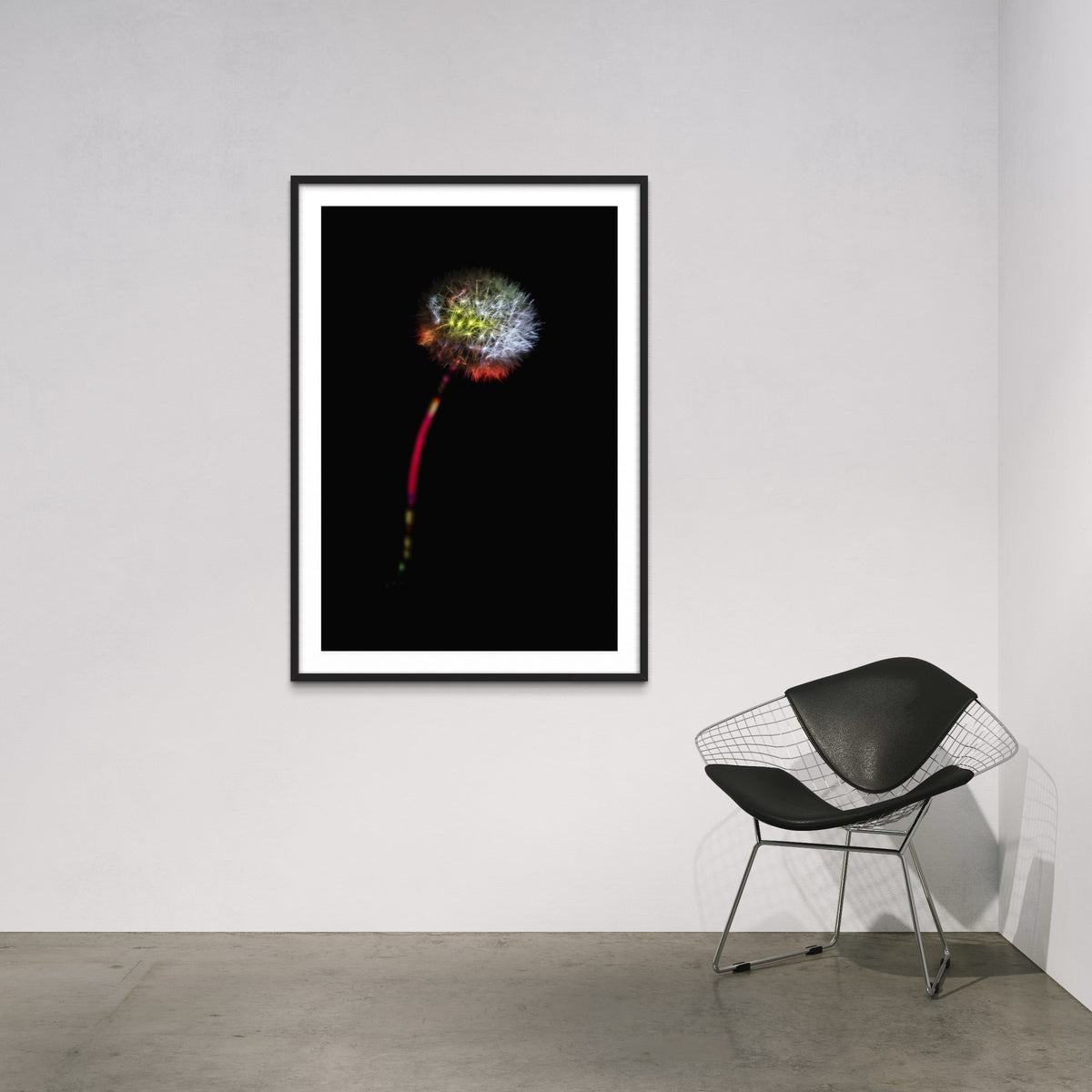 Berlin Hidden Places blowball/ dandelion/  Pusteblume 2020  (signed + Frame)