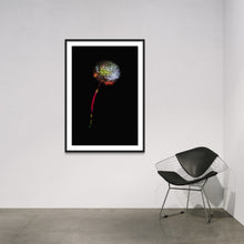 Laden Sie das Bild in den Galerie-Viewer, Berlin Hidden Places blowball/ dandelion/  Pusteblume 2020  (signed + Frame)
