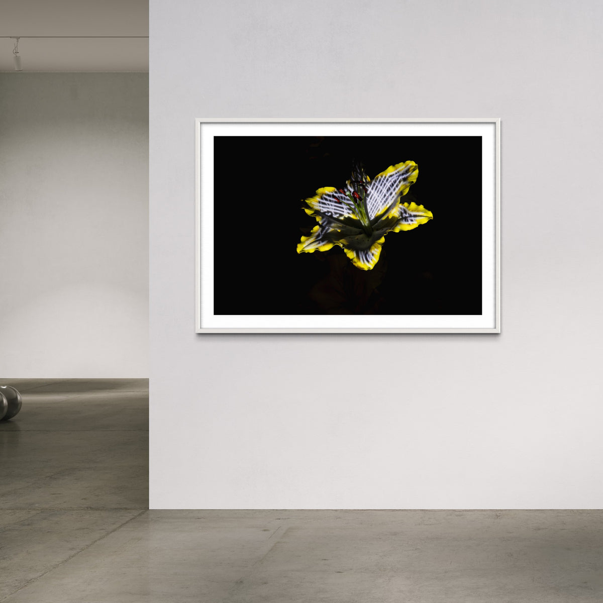 Hidden Places Lilie/ lily Flower 2019  (signed + Frame)