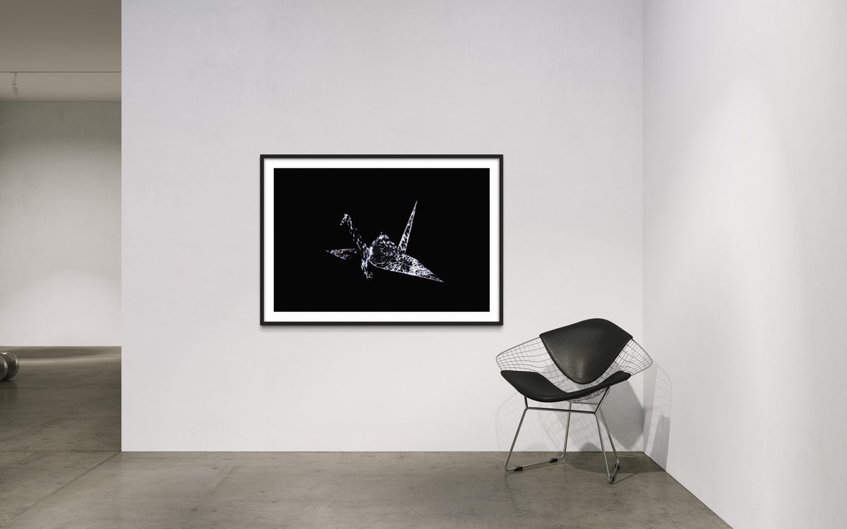 Hidden Places Origami Crane 2020  (signed + Frame)