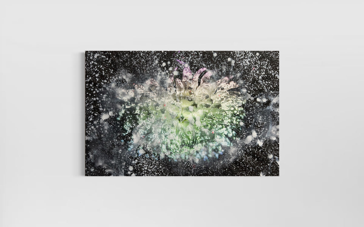 Overpainting Fine Art Print on Canvas 2022  Berlin 2019 Hidden Places  chrysanthemum flowers/  Chrysantheme video installation