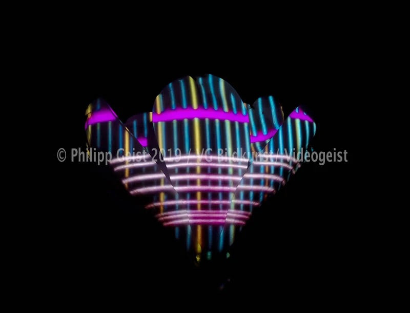 LED Light Frame / Led Leuchtrahmen - Hidden Places Magnolia Flower 2016 (signed)