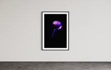Load image into Gallery viewer, Berlin Hidden Places blowball/ dandelion/  Pusteblume 2020  (signed + Frame)
