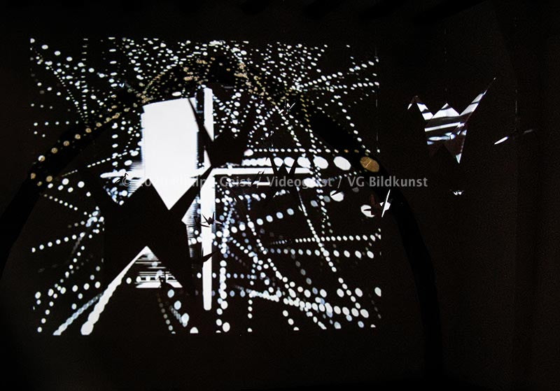 Barcelona Art Space EL ESCAPARATE BIRDS A_LIGHTING 2009 (signed + framed)