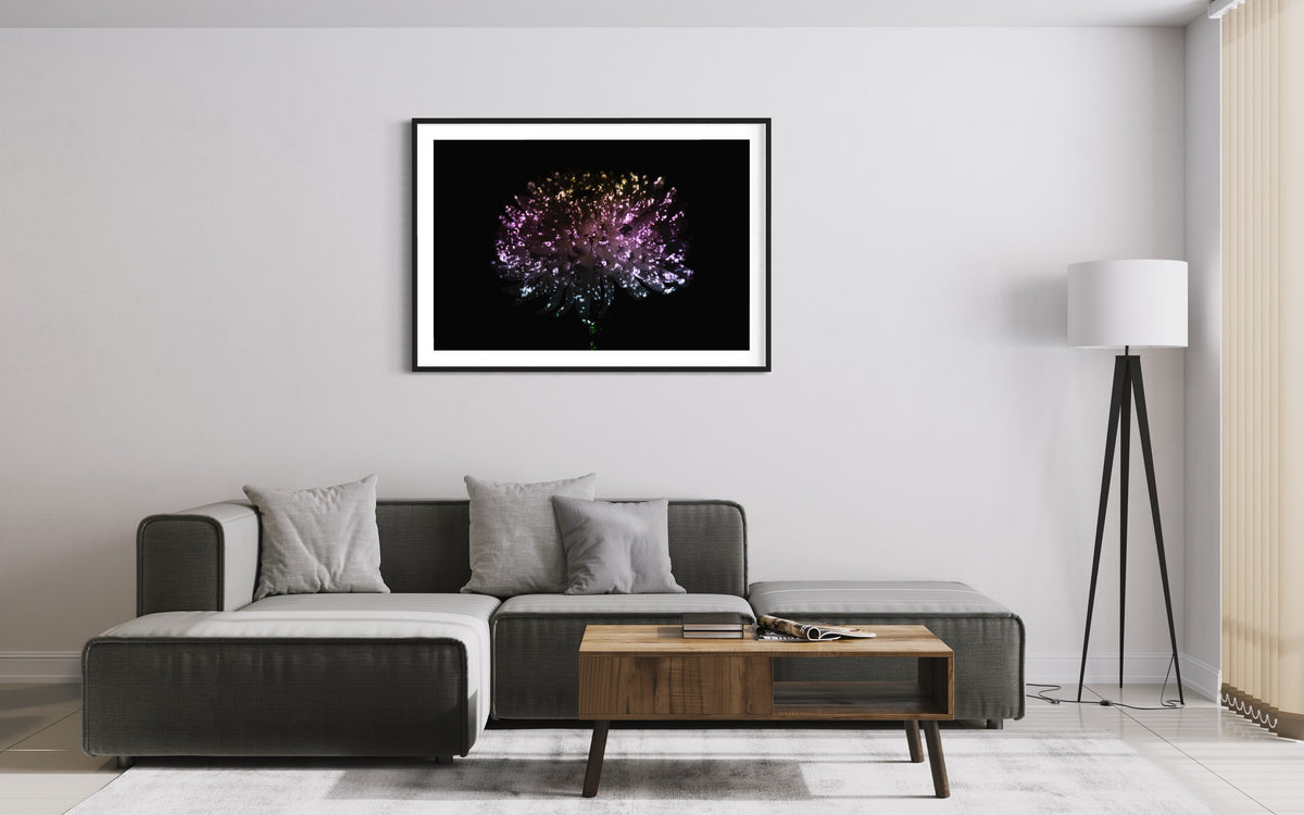 Hidden Places chrysanthemum flowers/ Chrysantheme 2019 (signed + Frame)