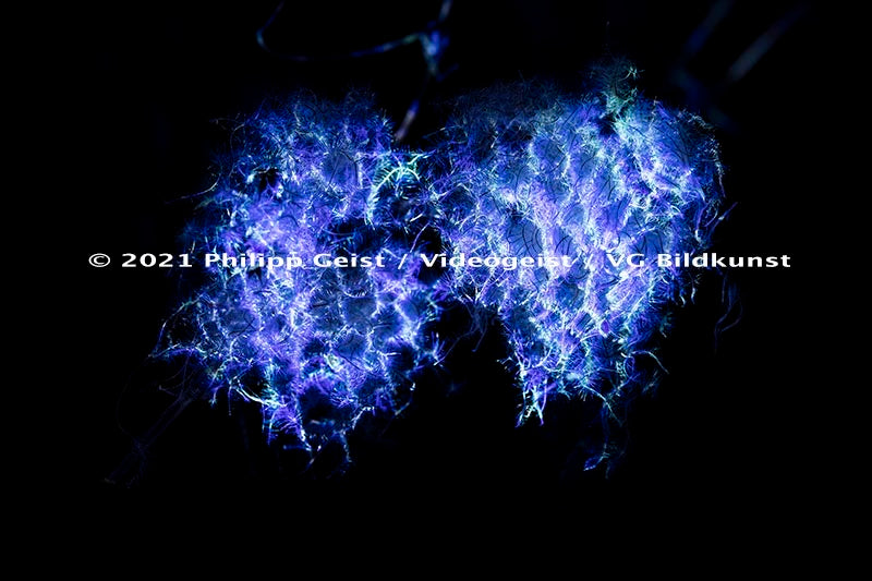 Hidden Places Waldrebe / Clematis 2021 (signed + Frame)