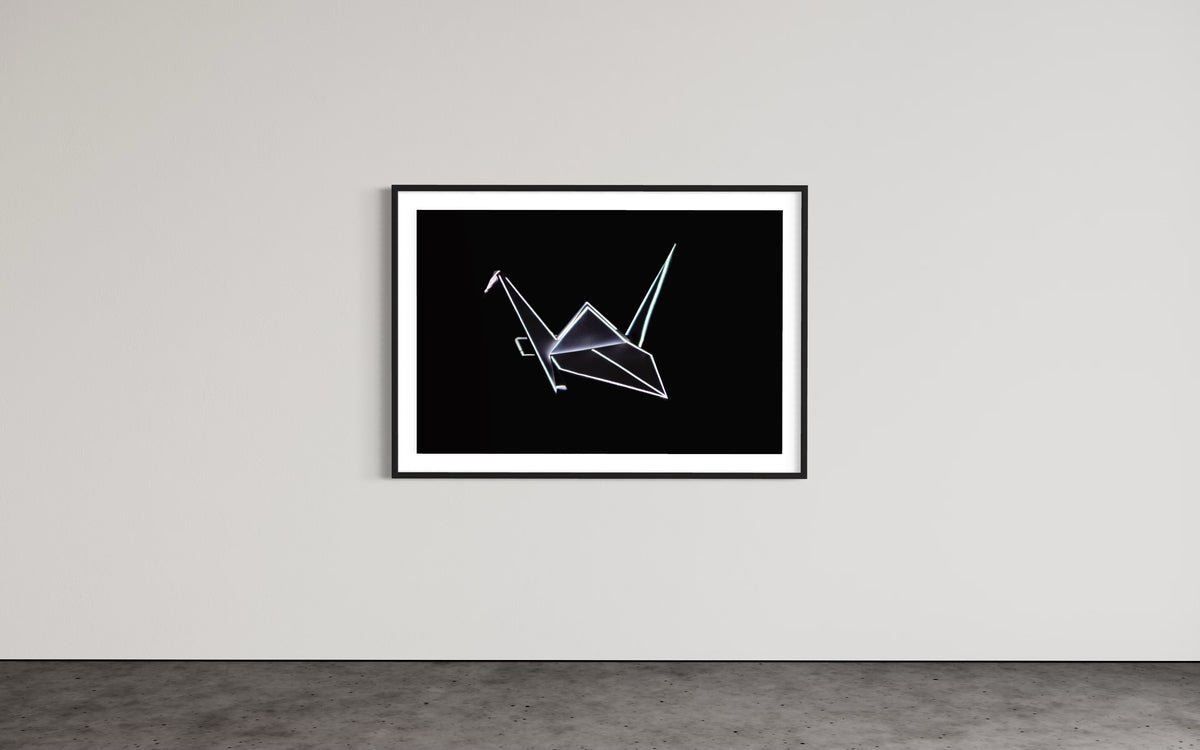 Hidden Places Origami Swan / Schwan 2020  (signed + Frame)