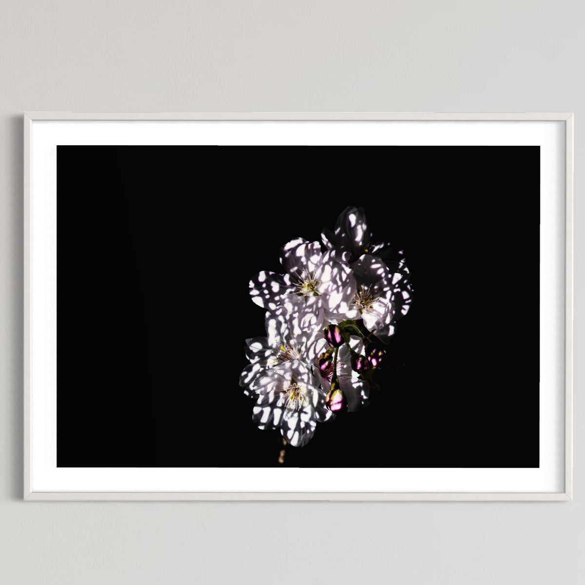 Berlin Hidden Places Cherry Blossom/ Kirschblüte 2020  (signed + Frame)