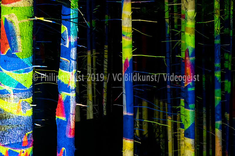 Weilheim/ Polling Wald/ Forest Hidden Places 2016 (signed + Frame)
