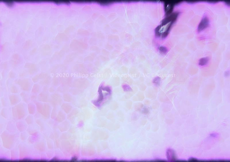 Generative Art / Videostill Beethoven Morph-Series 2020 (signed)