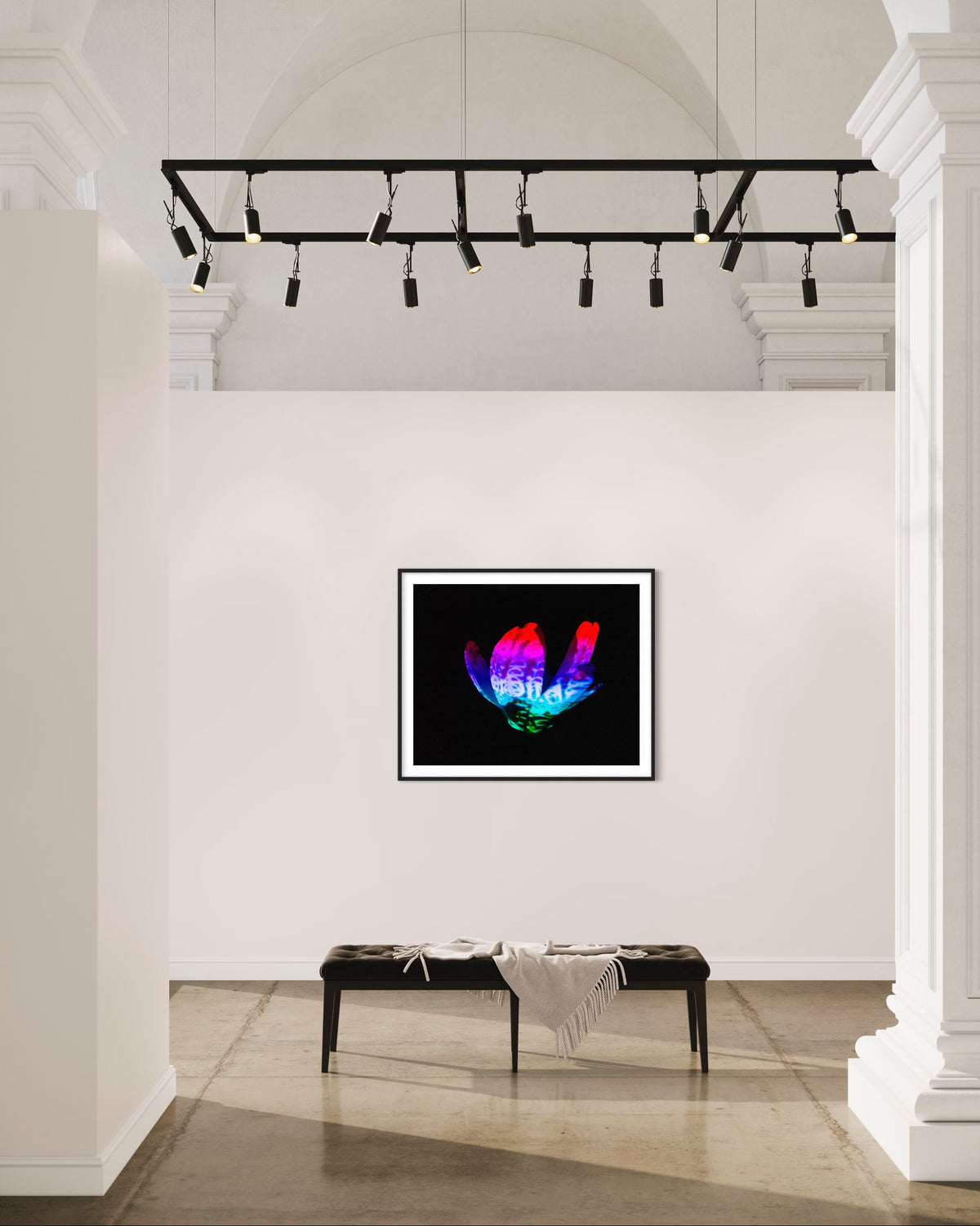 Hidden Places Magnolia Flower 2016  (signed + Frame)