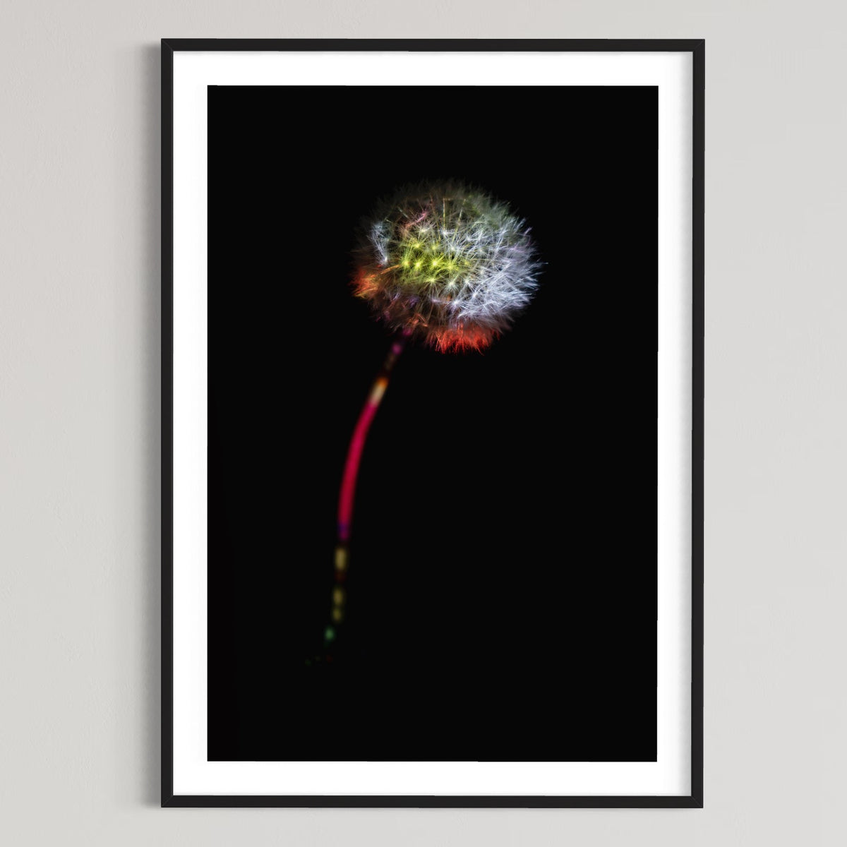 Berlin Hidden Places blowball/ dandelion/  Pusteblume 2020  (signed + Frame)