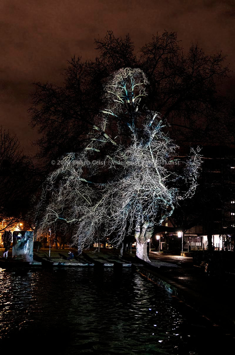 Frankfurt Bethmannpark Luminale 2020 Ariadnes Night (signed + Frame)