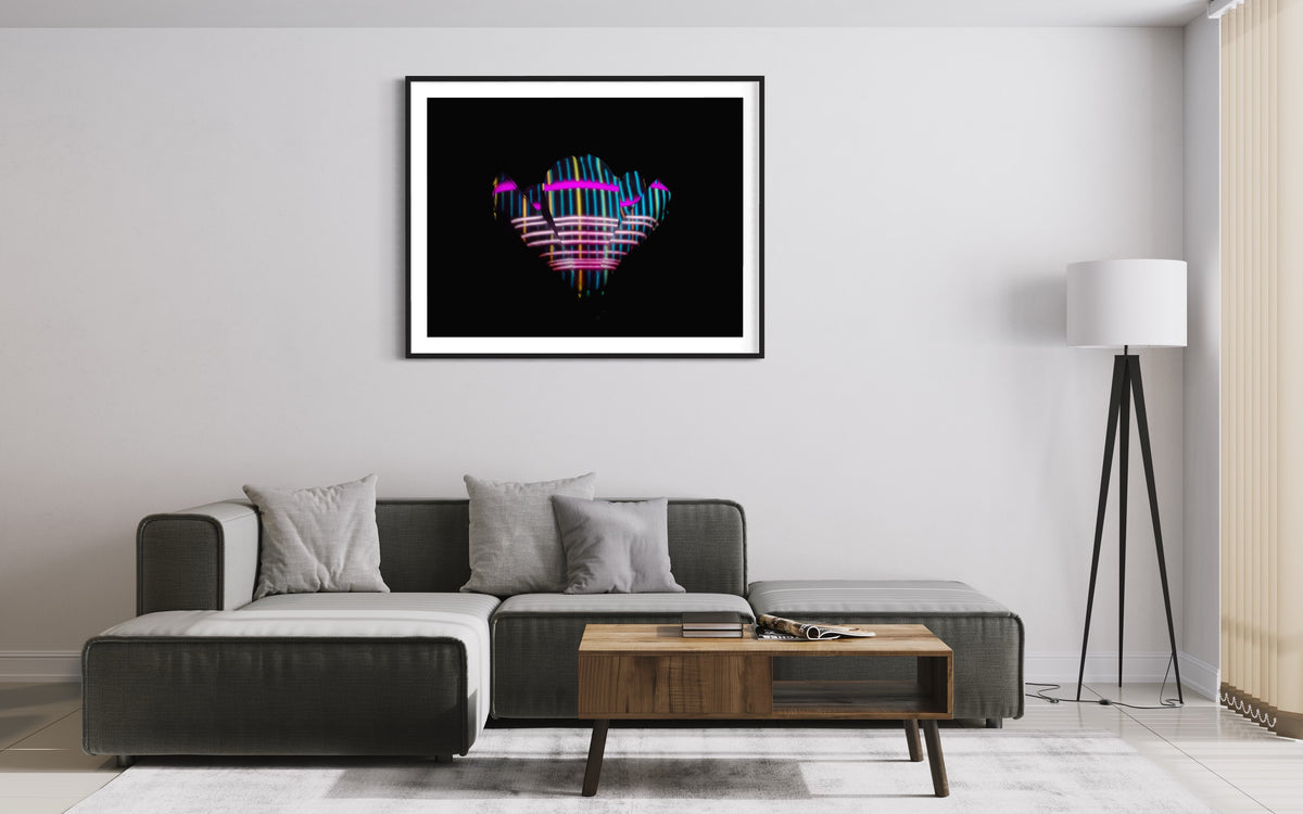 Hidden Places Magnolia Flower 2016  (signed + Frame)