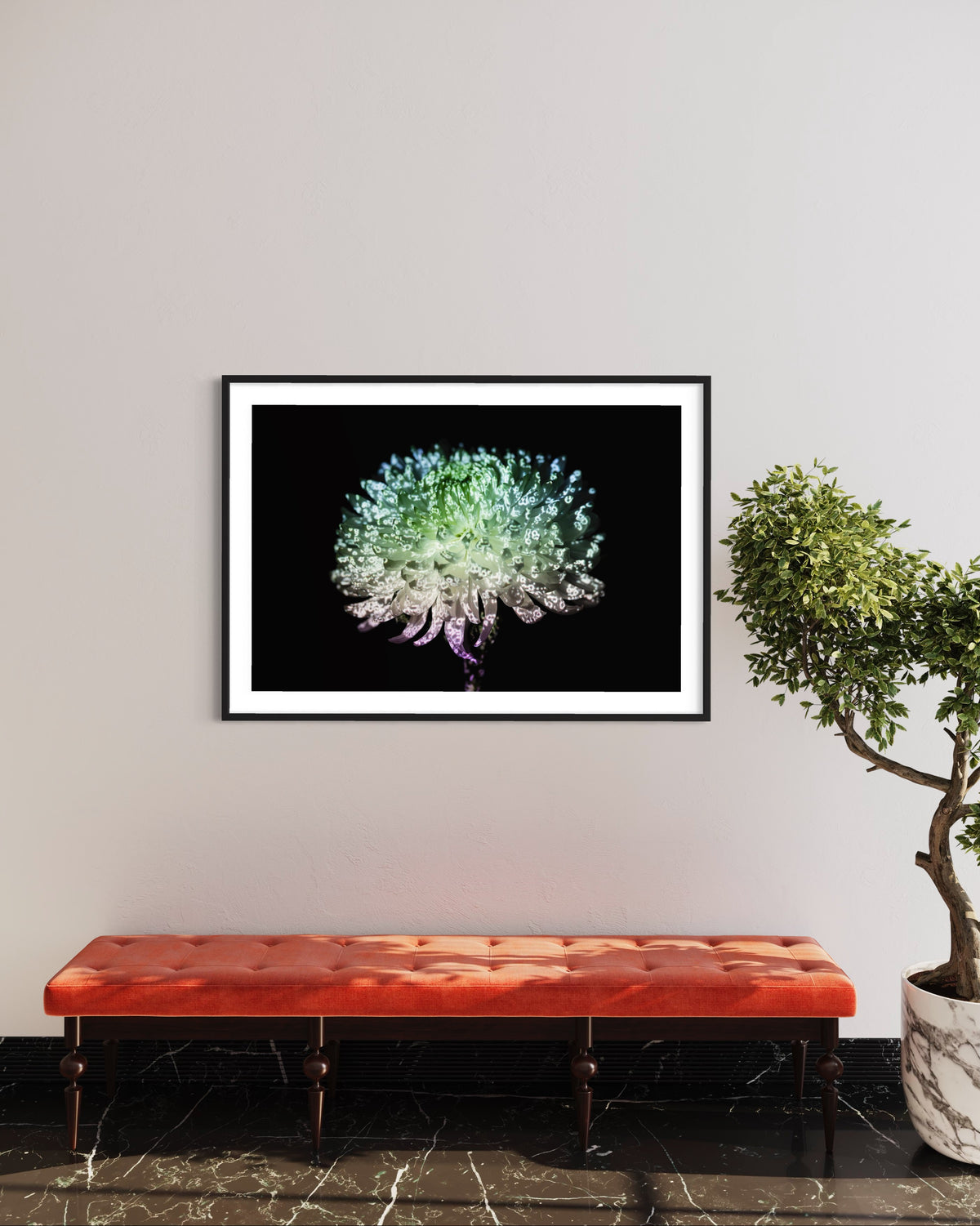 Hidden Places chrysanthemum flowers/ Chrysantheme 2019 (signed + Frame)