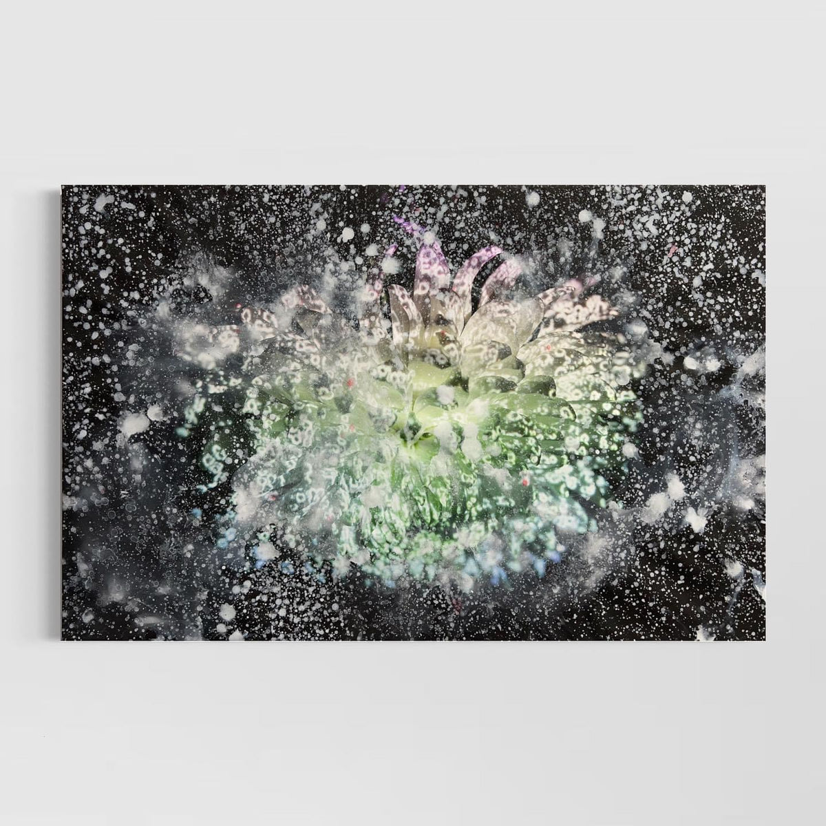 Overpainting Fine Art Print on Canvas 2022  Berlin 2019 Hidden Places  chrysanthemum flowers/  Chrysantheme video installation