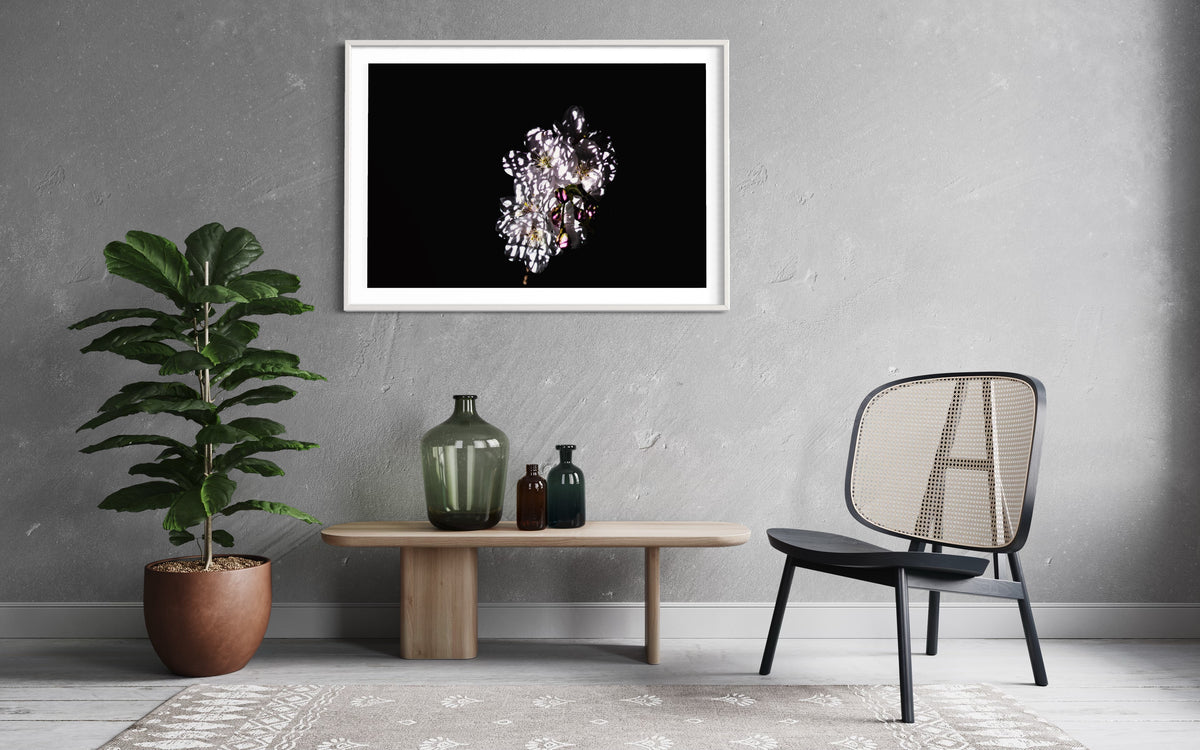 Berlin Hidden Places Cherry Blossom/ Kirschblüte 2020  (signed + Frame)