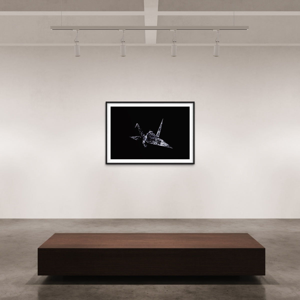 Hidden Places Origami Crane 2020  (signed + Frame)