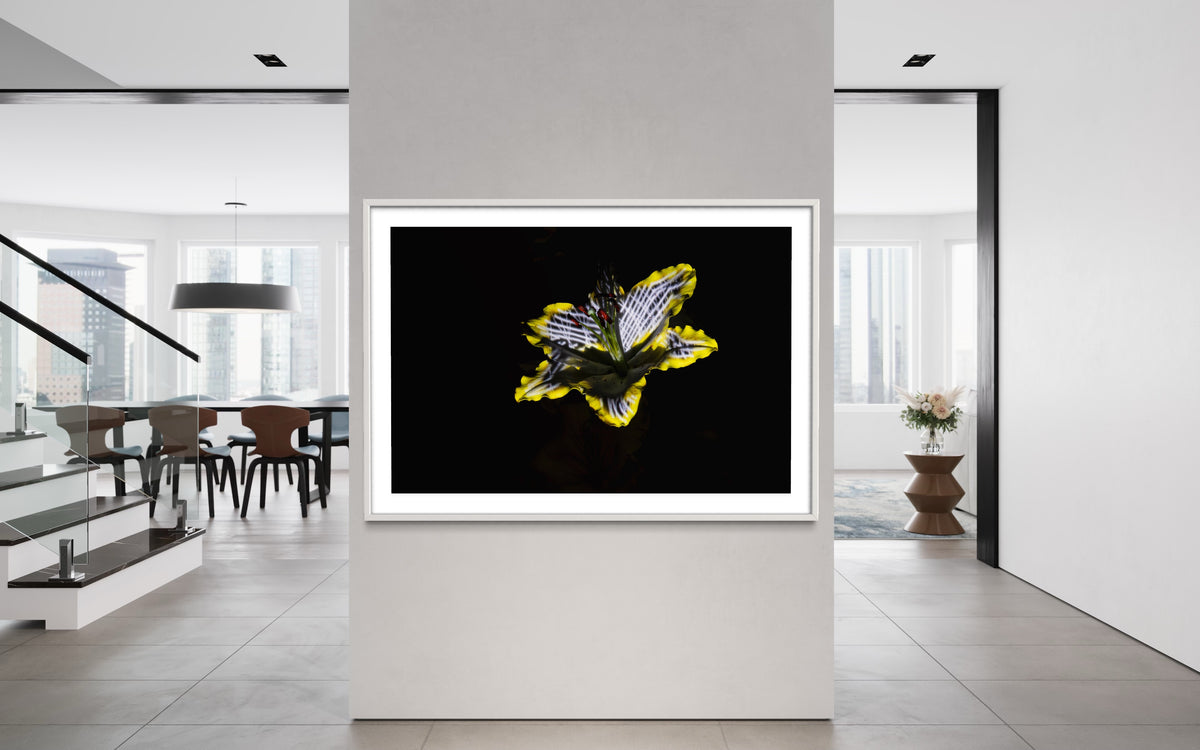 Hidden Places Lilie/ lily Flower 2019  (signed + Frame)