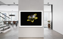 Laden Sie das Bild in den Galerie-Viewer, Hidden Places Lilie/ lily Flower 2019  (signed + Frame)
