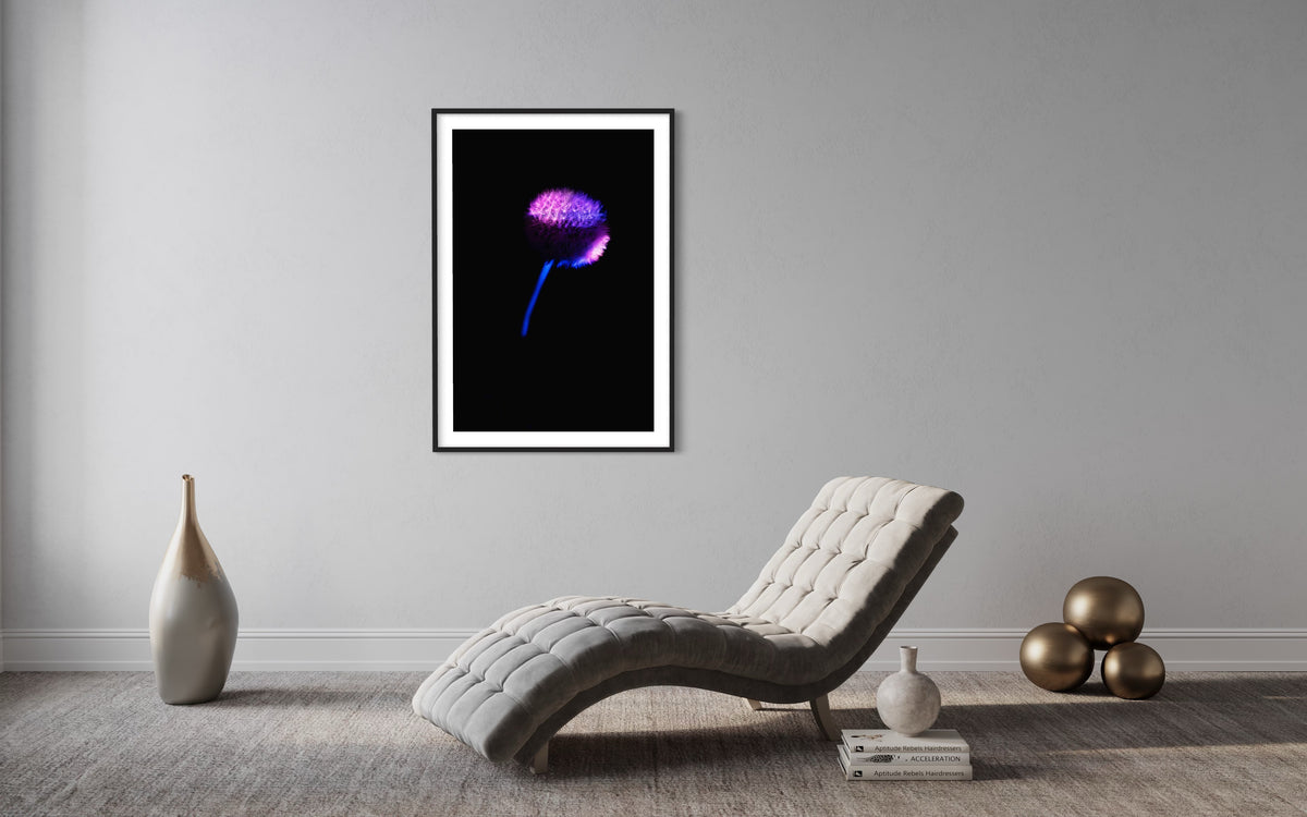 Berlin Hidden Places blowball/ dandelion/  Pusteblume 2020  (signed + Frame)