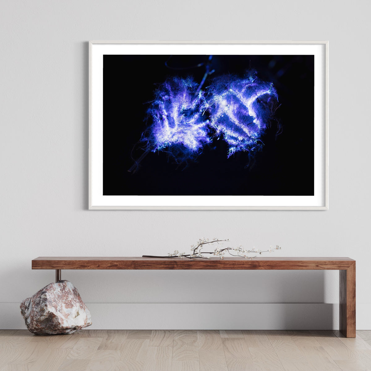 Hidden Places Waldrebe / Clematis 2021 (signed + Frame)