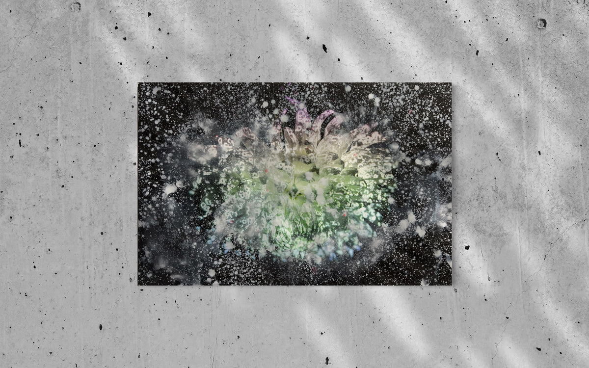 Overpainting Fine Art Print on Canvas 2022  Berlin 2019 Hidden Places  chrysanthemum flowers/  Chrysantheme video installation