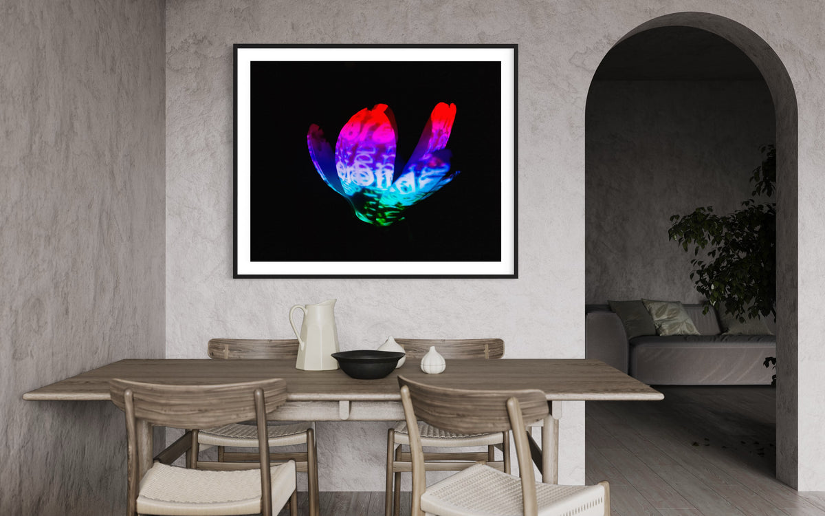 Hidden Places Magnolia Flower 2016  (signed + Frame)