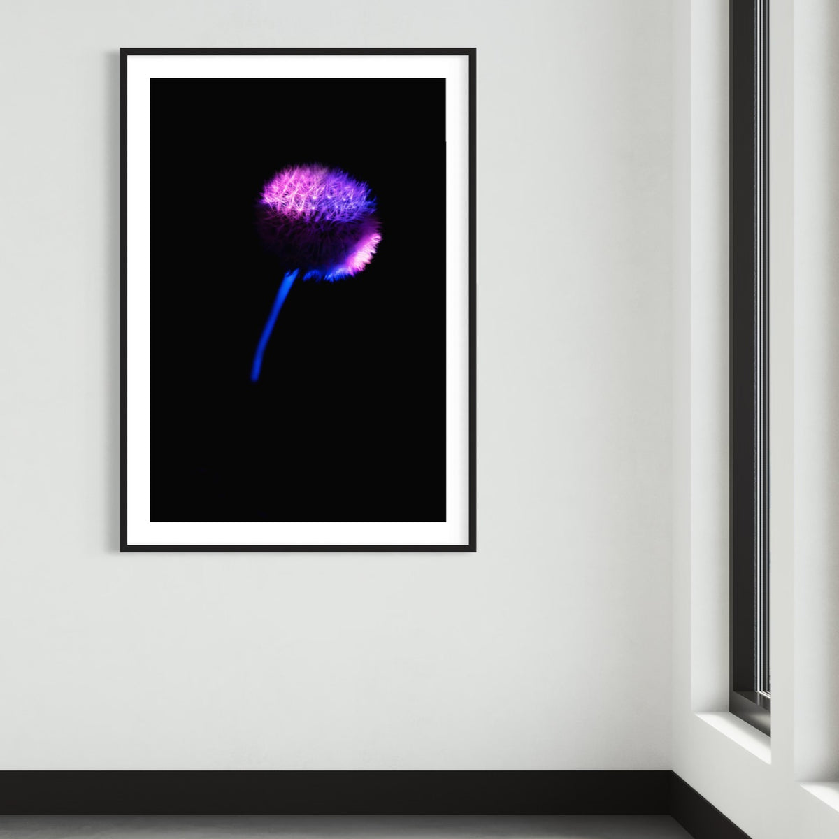 Berlin Hidden Places blowball/ dandelion/  Pusteblume 2020  (signed + Frame)
