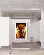 Load image into Gallery viewer, Munich / München Hl.Geist Kirche Unter Flügeln/ Under Wings 2019 (signed + Frame)
