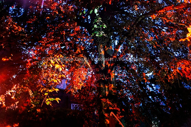 Hamburg Hidden Places Zeitflüsse 2012 (signed + framed)