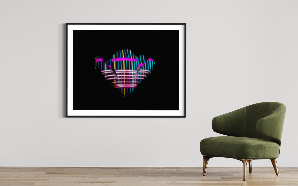 Hidden Places Magnolia Flower 2016  (signed + Frame)