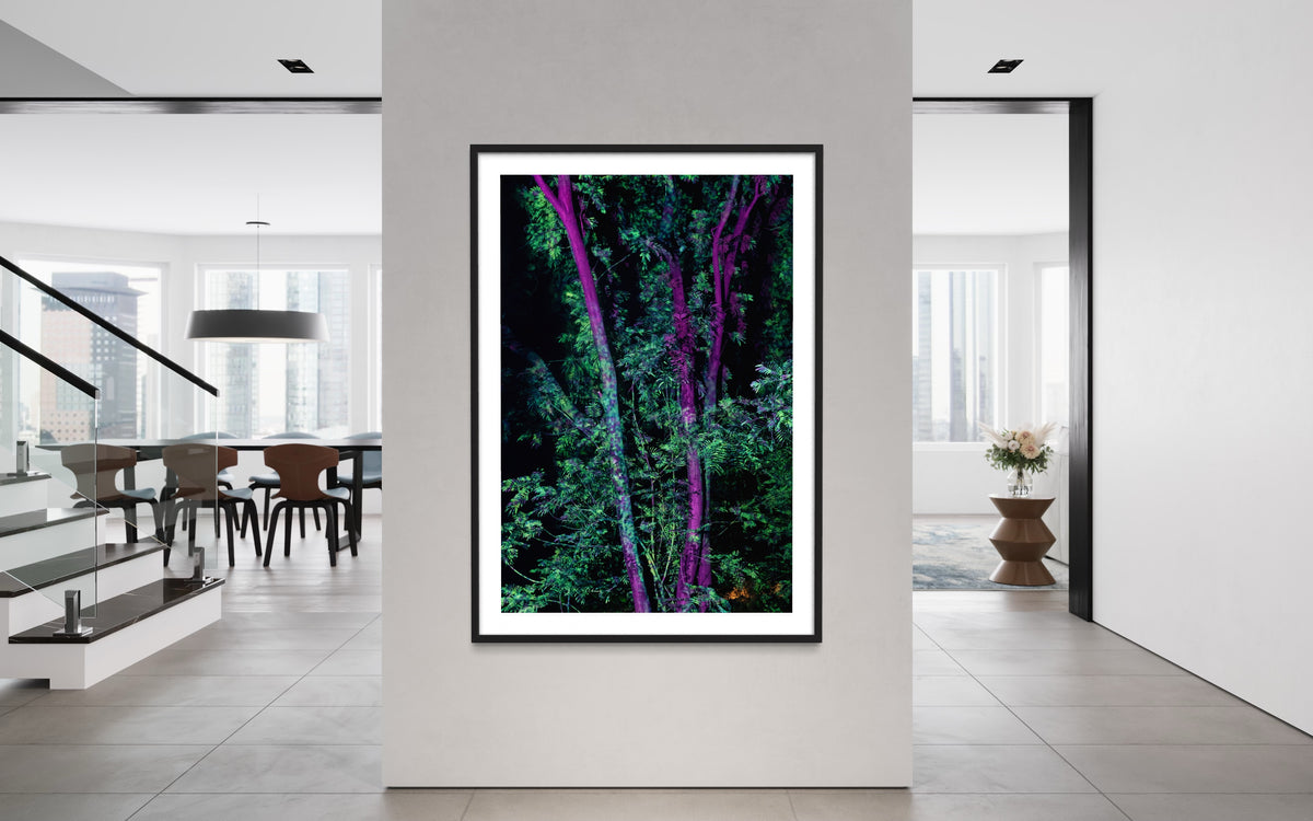 Hidden Places Project India 2017  (signed + Frame)