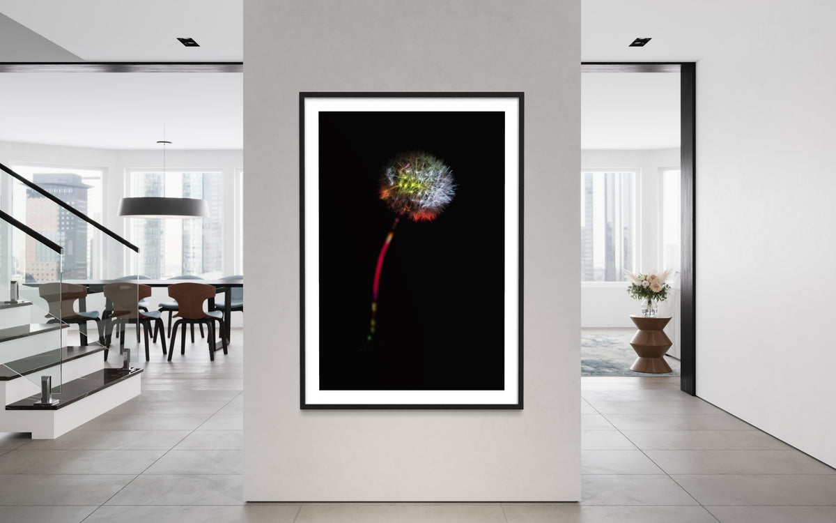 Berlin Hidden Places blowball/ dandelion/  Pusteblume 2020  (signed + Frame)