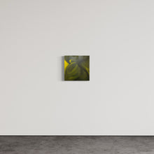 Load image into Gallery viewer, Untitled/ ohne Titel - Painting on Canvas 2007
