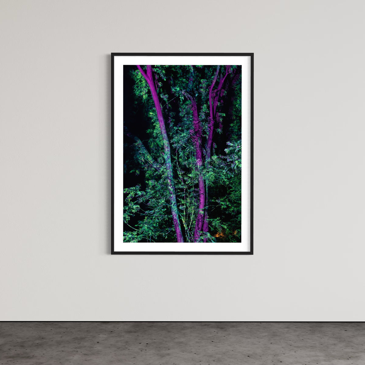 Hidden Places Project India 2017  (signed + Frame)