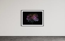 Laden Sie das Bild in den Galerie-Viewer, Hidden Places chrysanthemum flowers/ Chrysantheme 2019 (signed + Frame)
