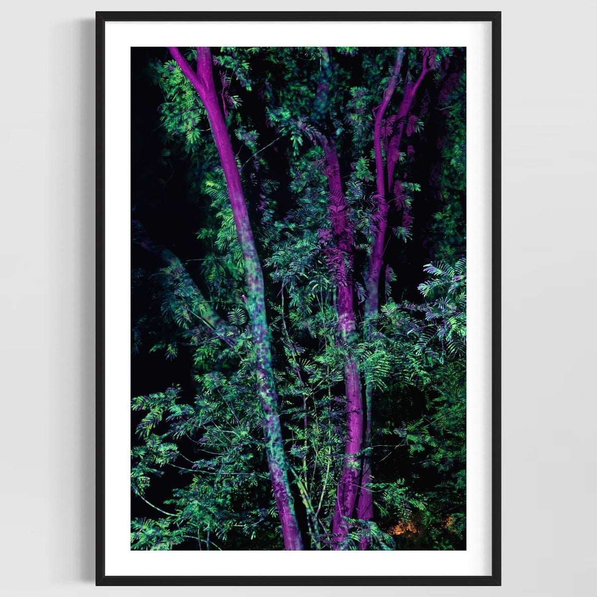 Hidden Places Project India 2017  (signed + Frame)