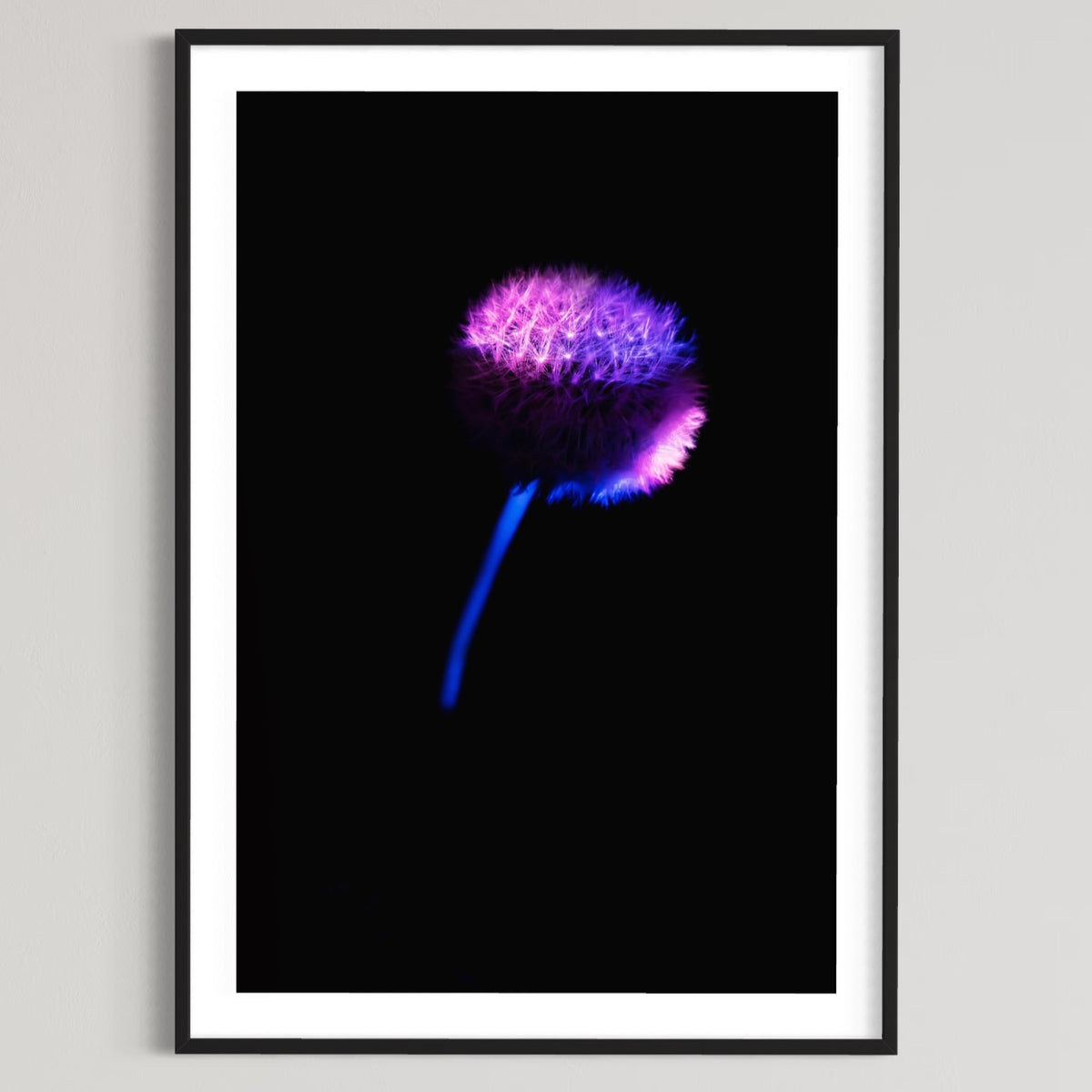 Berlin Hidden Places blowball/ dandelion/  Pusteblume 2020  (signed + Frame)