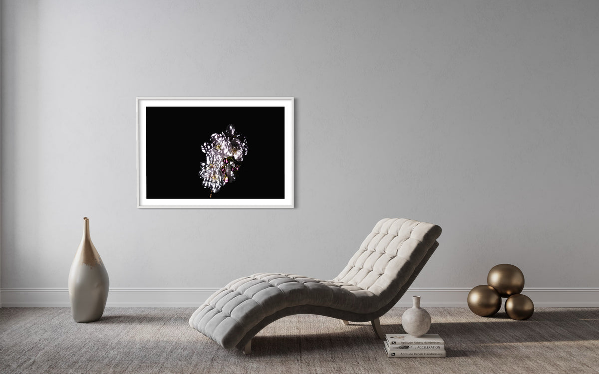 Berlin Hidden Places Cherry Blossom/ Kirschblüte 2020  (signed + Frame)