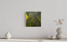 Laden Sie das Bild in den Galerie-Viewer, Untitled/ ohne Titel - Painting on Canvas 2007
